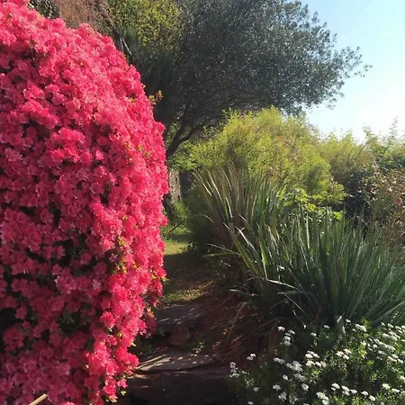 Casa Paterna In Apartment *