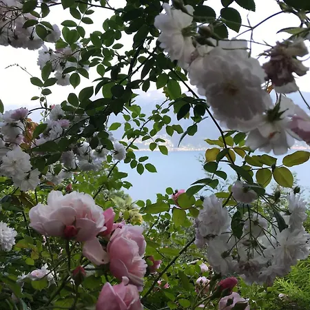 Casa Paterna In * Ronco sopra Ascona