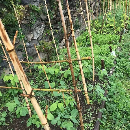 Casa Paterna In Apartment *
