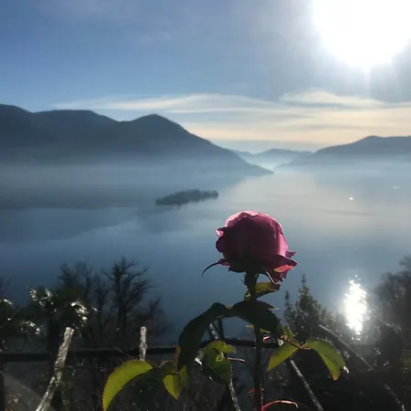 Apartment Casa Paterna In Ronco sopra Ascona