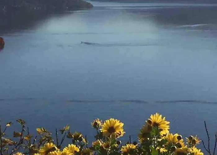 Apartment Casa Paterna In