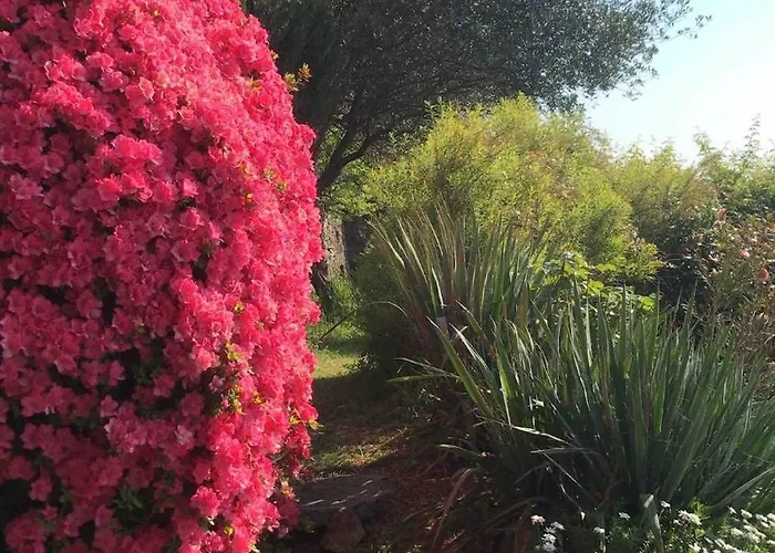 Casa Paterna In Apartment *