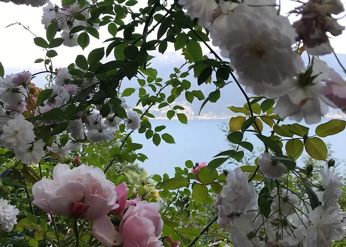 Casa Paterna In * Ronco sopra Ascona