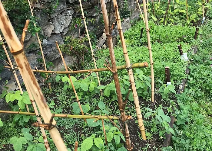 Casa Paterna In Apartment *